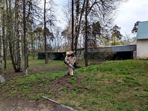 В Иванове очистили от клещей все городские парки 